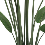 Close-up of green leaves on a white background