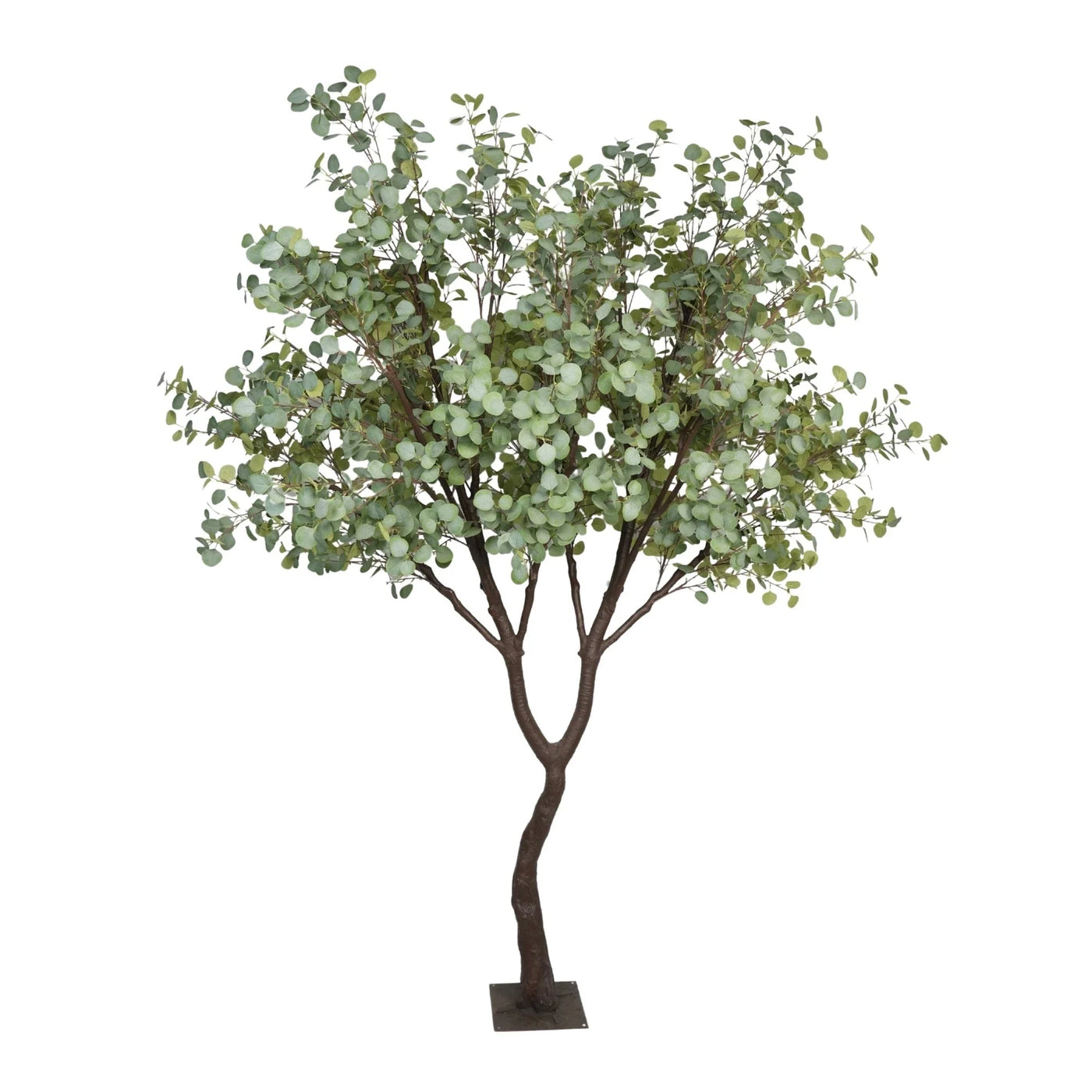 Artificial eucalyptus tree on a white background