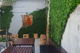 Jasmine Hedge Screen Green Wall Panel UV Resistant 100cm x 100cm
