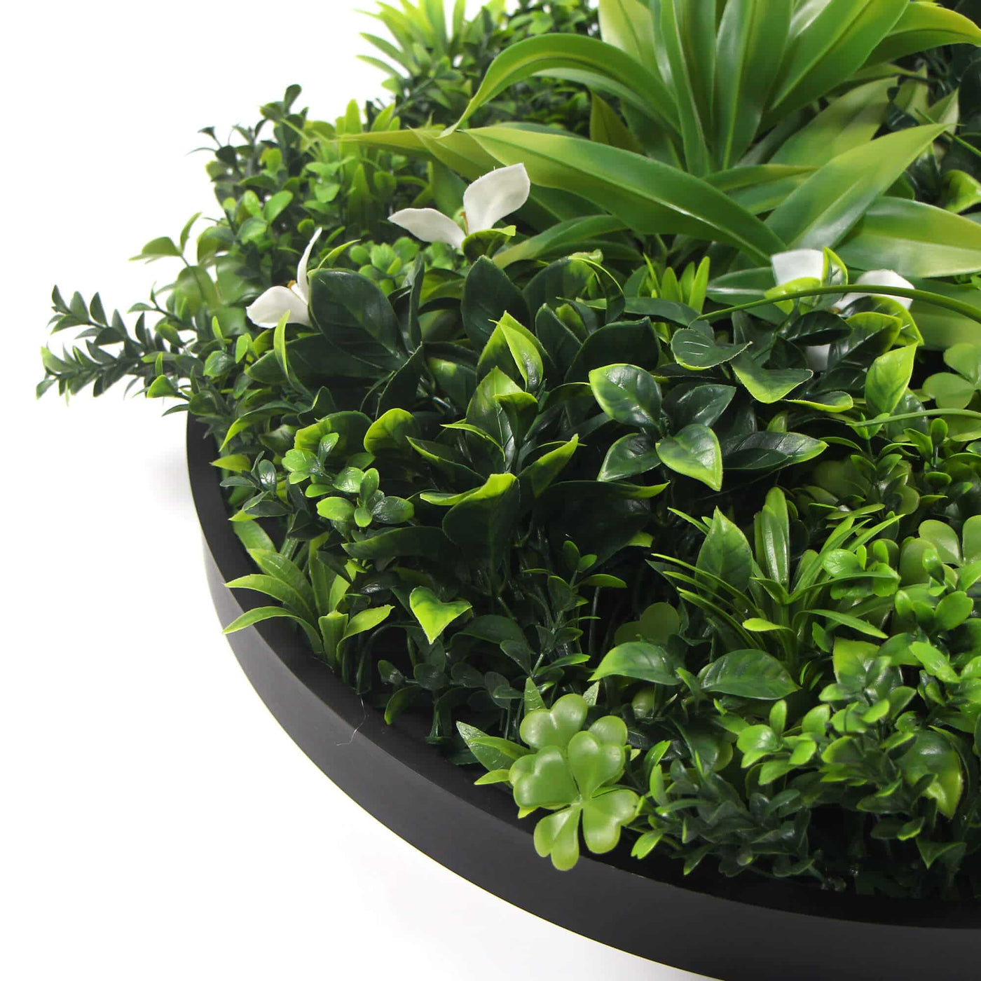 Slimline Flowering White Artificial Green Wall Disc UV Resistant 50cm (Black Frame)