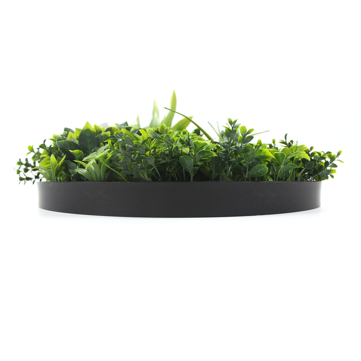 Slimline Flowering White Artificial Green Wall Disc UV Resistant 50cm (Black Frame)