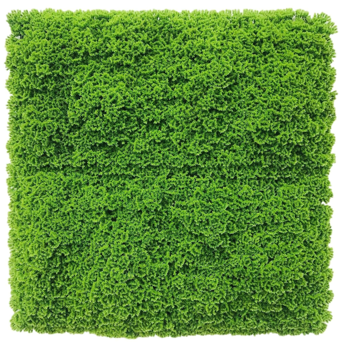 Fresh Natural Green Artificial Moss / Green Wall UV Resistant 1m x 1m - Designer Plants