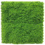 Fresh Natural Green Artificial Moss / Green Wall UV Resistant 1m x 1m - Designer Plants