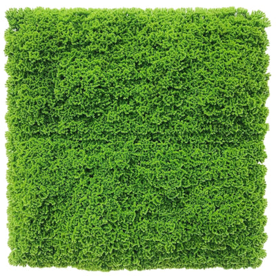 Fresh Natural Green Artificial Moss / Green Wall UV Resistant Sample
