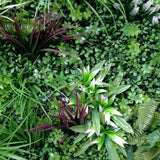 Luxury Vista Green Recycled Vertical Garden / Green Wall UV Resistant 100cm x 100cm