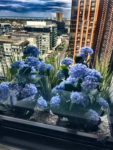 Balcony planter with blue hydrangea flowers and cityscape view in the background.
