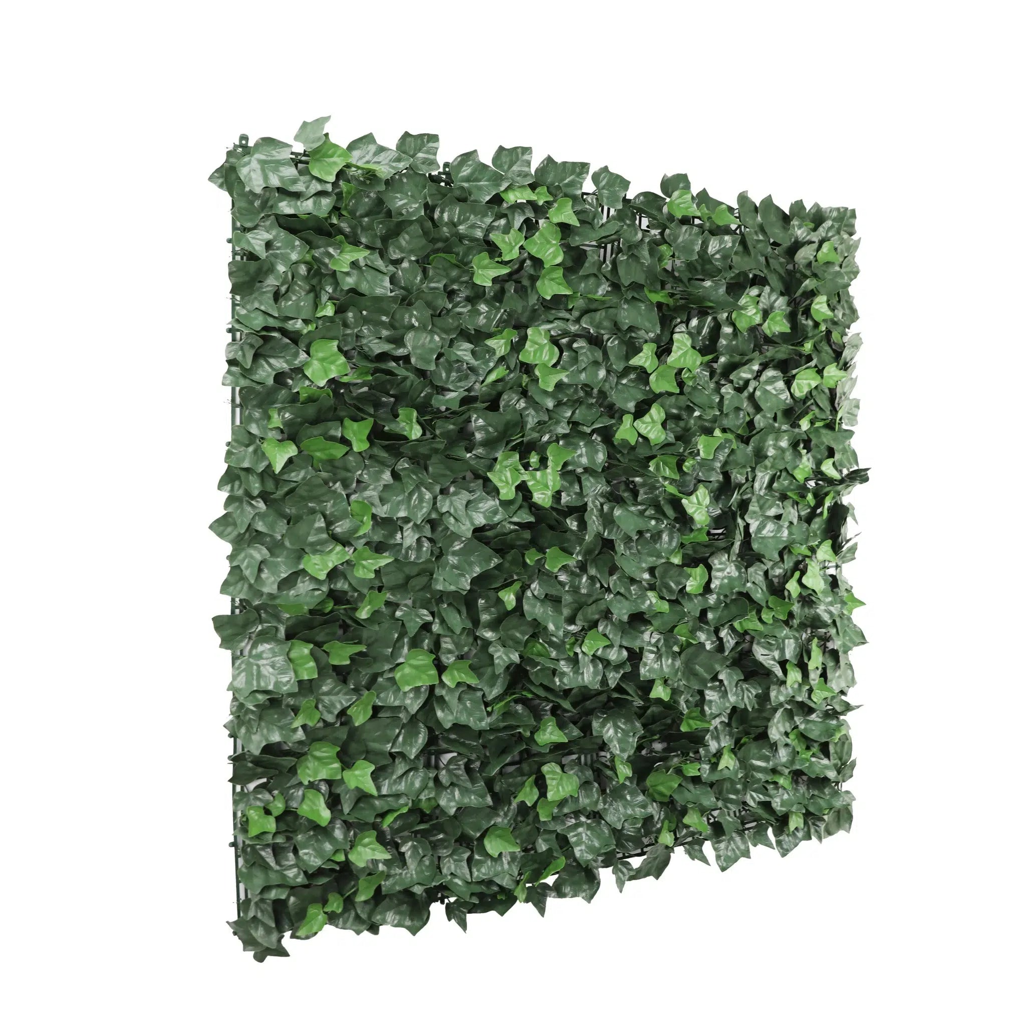 Boston Ivy Leaf Screen Green Wall Panel UV Resistant SAMPLE
