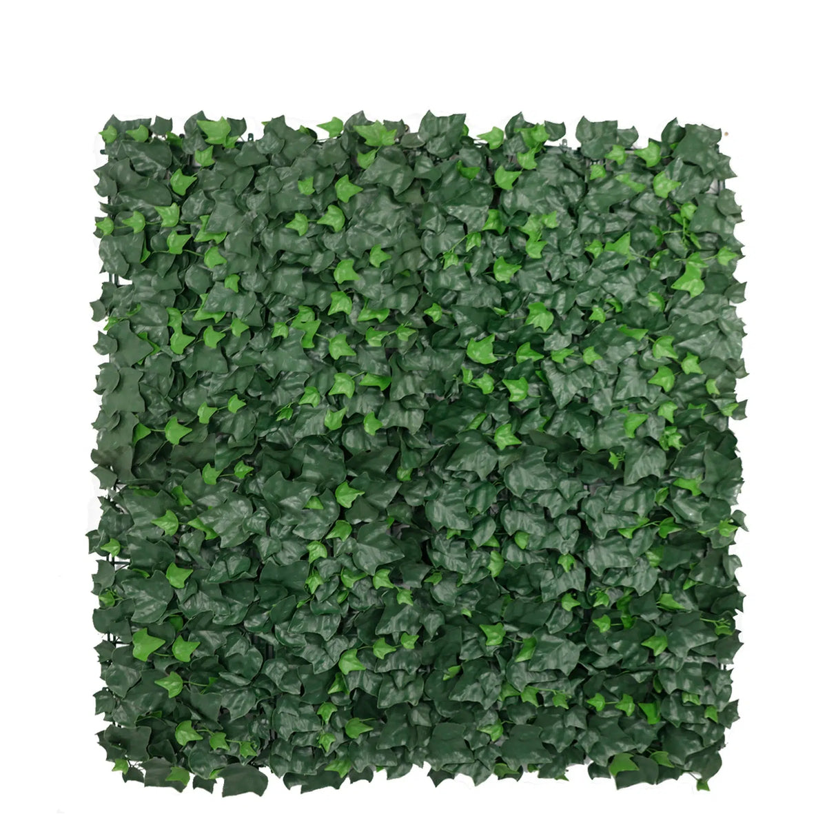 Boston Ivy Leaf Screen Green Wall Panel UV Resistant 1m x 1m - Designer Plants