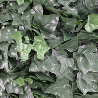Boston Ivy Leaf Screen Green Wall Panel UV Resistant SAMPLE