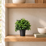 20cm potted artificial jasmine styled on an oak kitchen shelf; shelf and ceramics shown for styling.