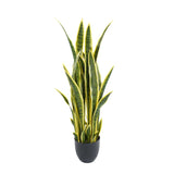 Artificial (faux) Mother in Law Tongue / Yellow Tongue Snake Plant UV Resistant 100CM - Designer Plants