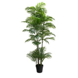 Premium Artificial Potted Multi-trunk Fan Palm 180cm - Designer Plants