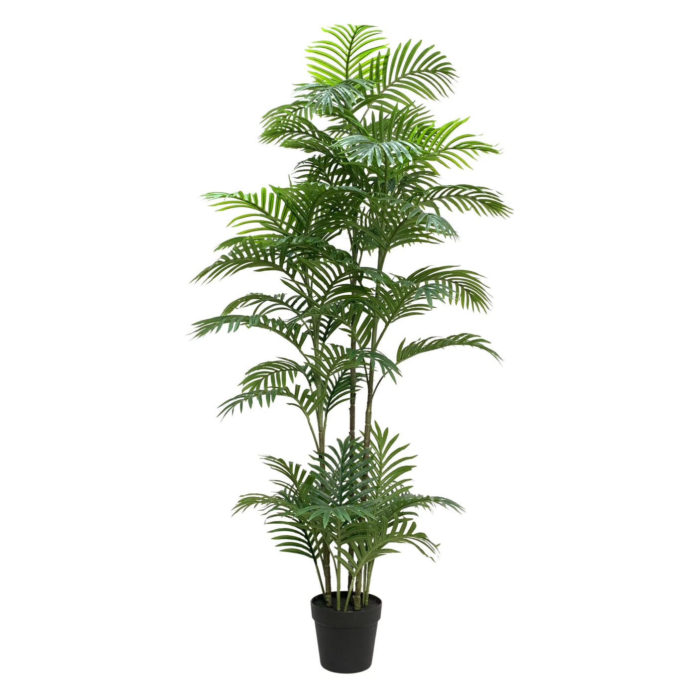 Premium Artificial Potted Multi-trunk Fan Palm 180cm