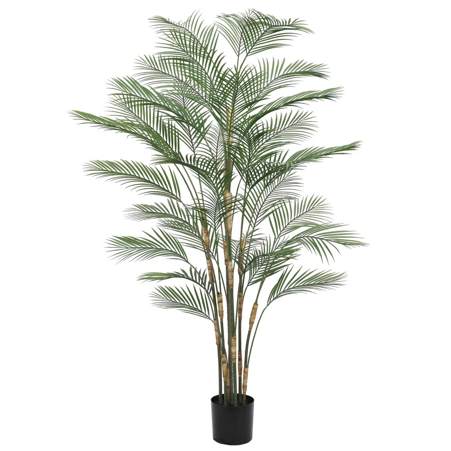 Premium Artificial Areca Palm Tree 210cm UV Resistant (New Arrival) - Designer Plants