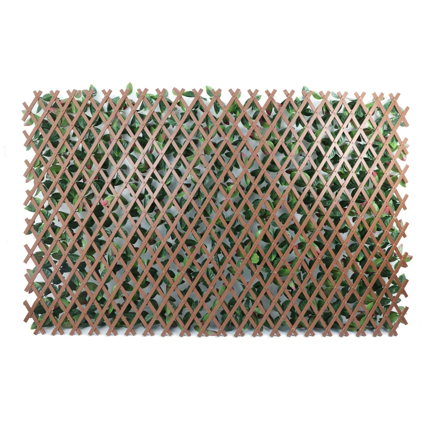 Premium Photinia Leaf Artificial Hedge Extendable Trellis / Screen 2 Meter By 1 Meter UV Resistant (PVC) - New Arrival January