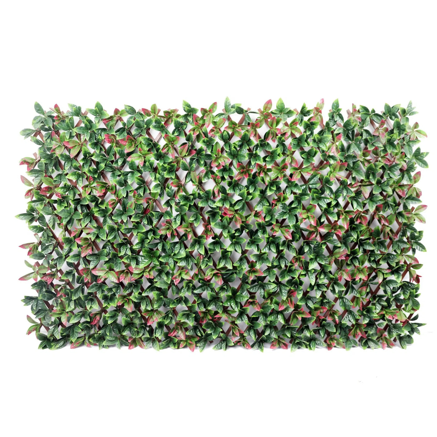 Premium Photinia Leaf Artificial Hedge Extendable Trellis / Screen 2 Meter By 1 Meter UV Resistant (PVC) - New Arrival January