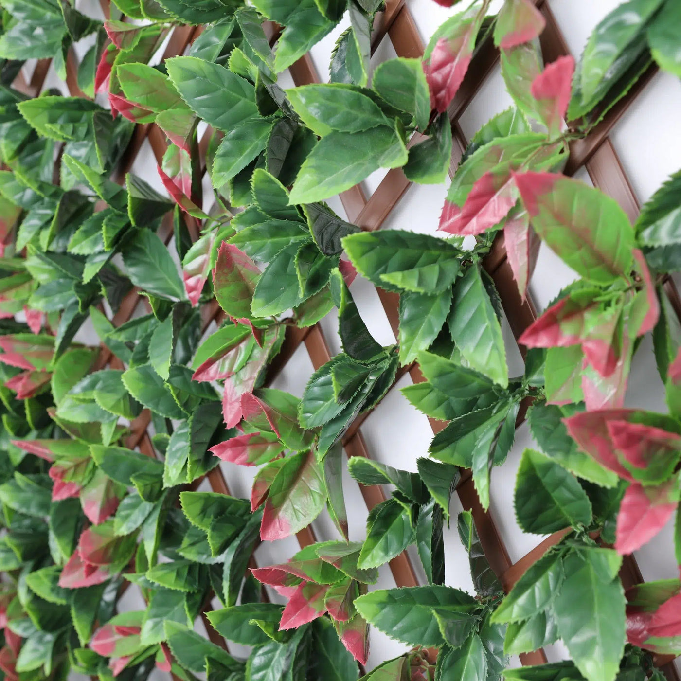 Premium Photinia Leaf Artificial Hedge Extendable Trellis / Screen 2 Meter By 1 Meter UV Resistant (PVC) - New Arrival January