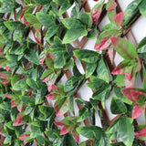 Premium Photinia Leaf Artificial Hedge Extendable Trellis / Screen 2 Meter By 1 Meter UV Resistant (PVC) - New Arrival January