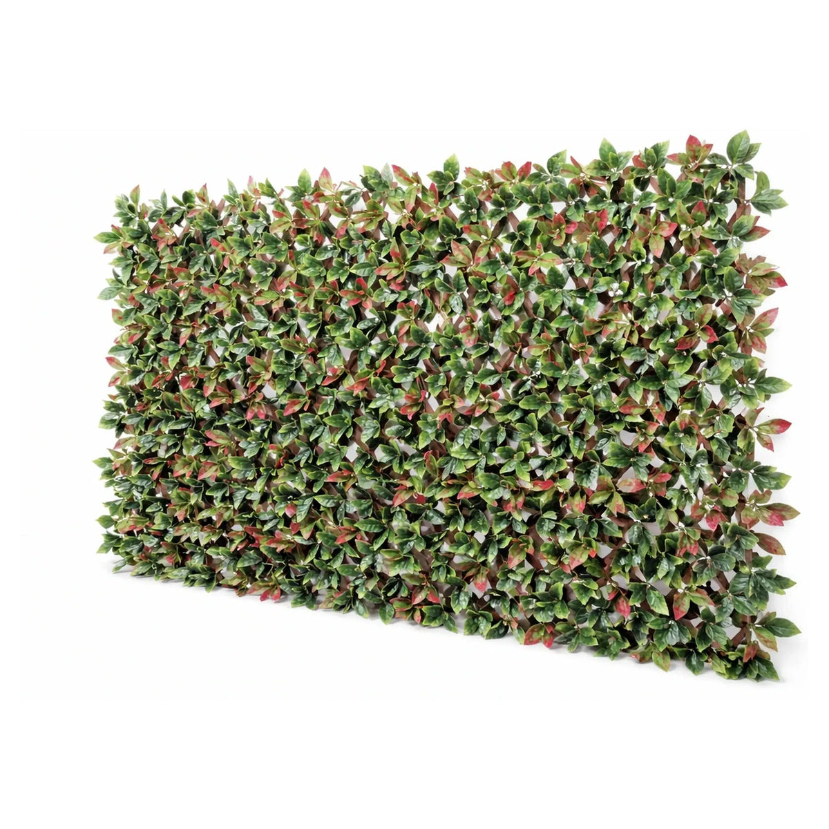 Premium Photinia Leaf Artificial Hedge Extendable Trellis / Screen 2 Meter By 1 Meter UV Resistant (PVC) - New Arrival January
