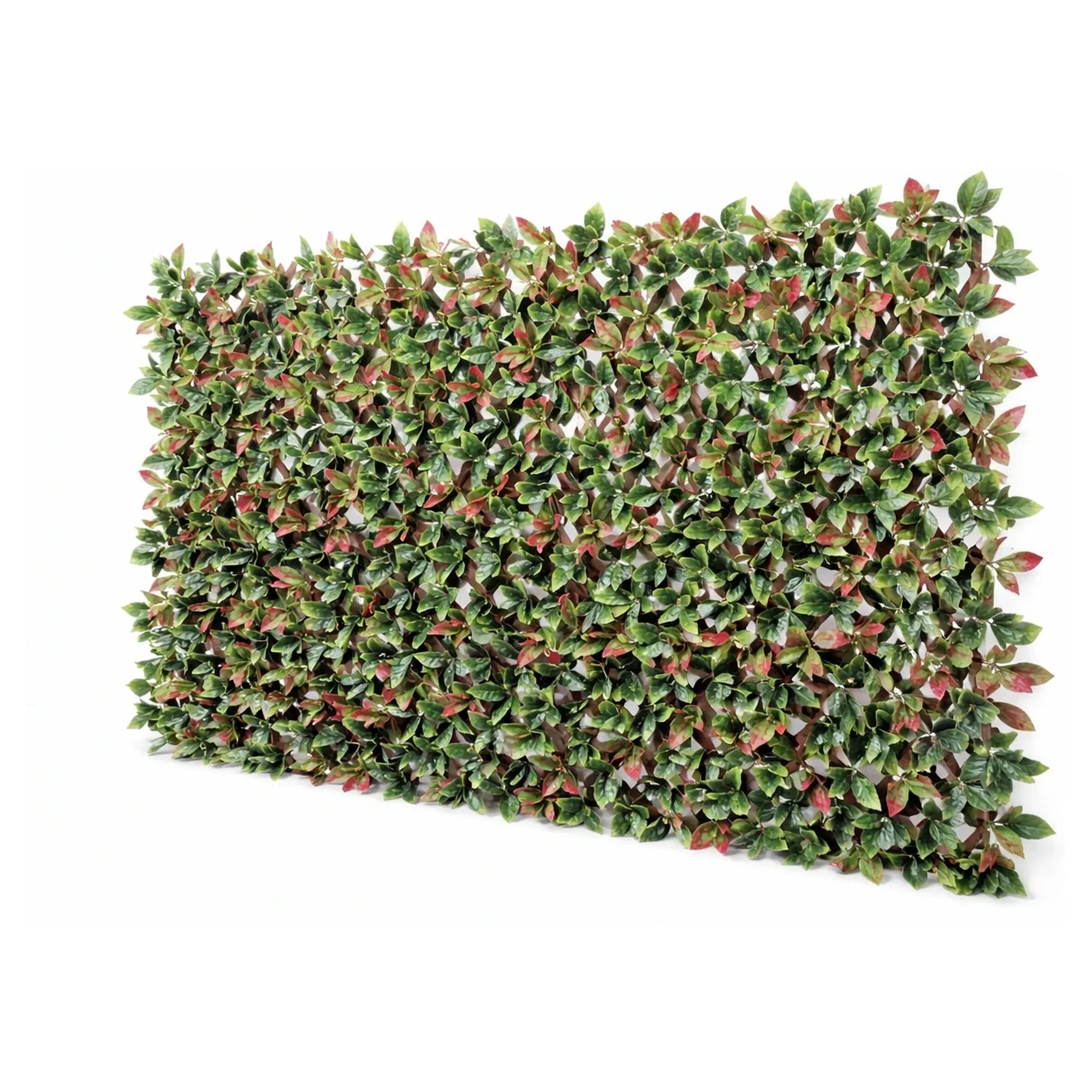 Premium Photinia Leaf Artificial Hedge Extendable Trellis / Screen 2 Meter By 1 Meter UV Resistant (PVC) - New Arrival January