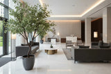 A modern, spacious lobby interior with large gray sofas, a round white coffee table with gold accents, a tall potted tree in the foreground, and a marble reception desk in the distance.