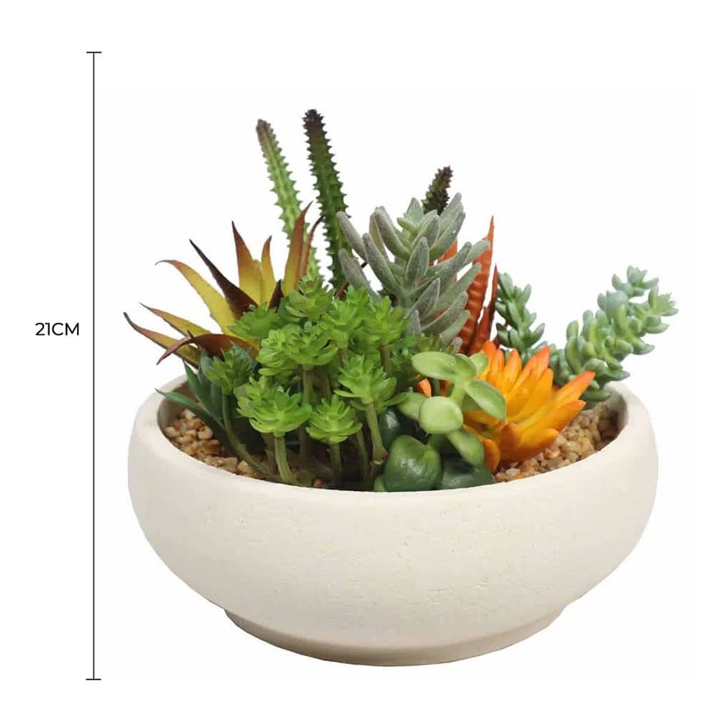 Potted Artificial Succulent Bowl with Natural Stone Pot 21cm