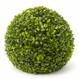 Medium Mixed Boxwood Topiary Ball UV Resistant 28cm - Designer Plants