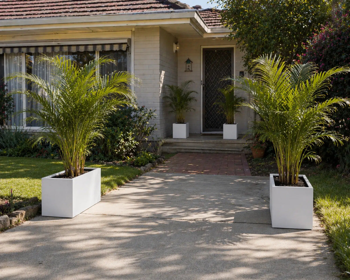 Luxury Rectangular Trough Planter Set of 3 | Matt White | Premium Pot Range