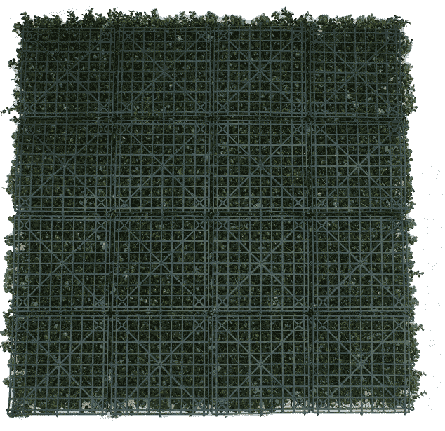 Premium Natural Buxus Hedge Panels UV Resistant SAMPLE