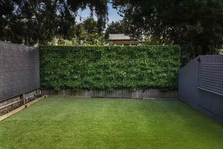 An outdoor backyard corner with a green grass lawn, a tall dense green hedge, gray walls, and trees overhead.