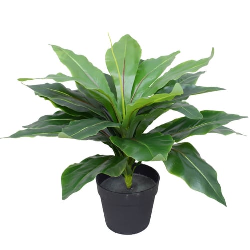 Artificial Potted Wide Leaf Birds Nest Fern 50cm - Designer Plants