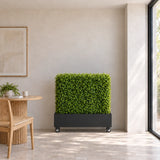 Black Metal Planter Medium with Wheels, 110cm long, styled with a Deluxe Portable Buxus Hedge 100cm x 100cm in a sunroom. Hedge and planter are sold separately.