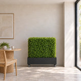 Deluxe Portable Buxus Hedge 100cm long x 100cm high styled inside a Black Metal Planter Medium with Wheels in a sunroom. Planter is sold separately.