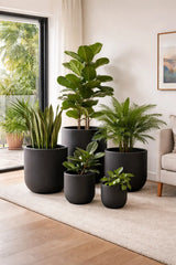 Luxury Egg-Shaped Ovate Planter Set of 5 | Premium Pot Range - Matt Black - Designer Plants