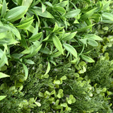 Bloom Luxe artificial green wall panel 1m x 1m, foliage detail 1