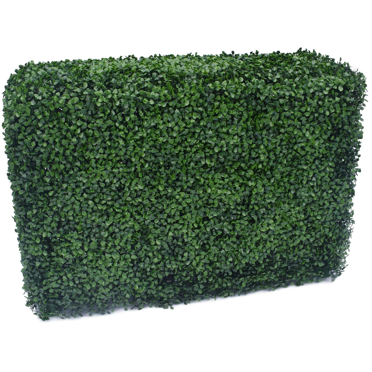 Portable Artificial Boxwood Hedge UV Resistant 75cm High 100cm Long - Designer Plants