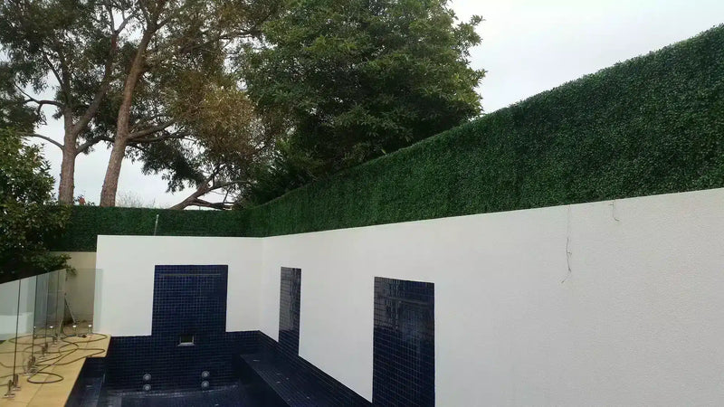 Extending the height of a fence with boxwood hedge panels