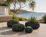 Luxury Soft Tapered Bowl Planter Set of 4 | Premium Pot Range | Matt Black - Designer Plants