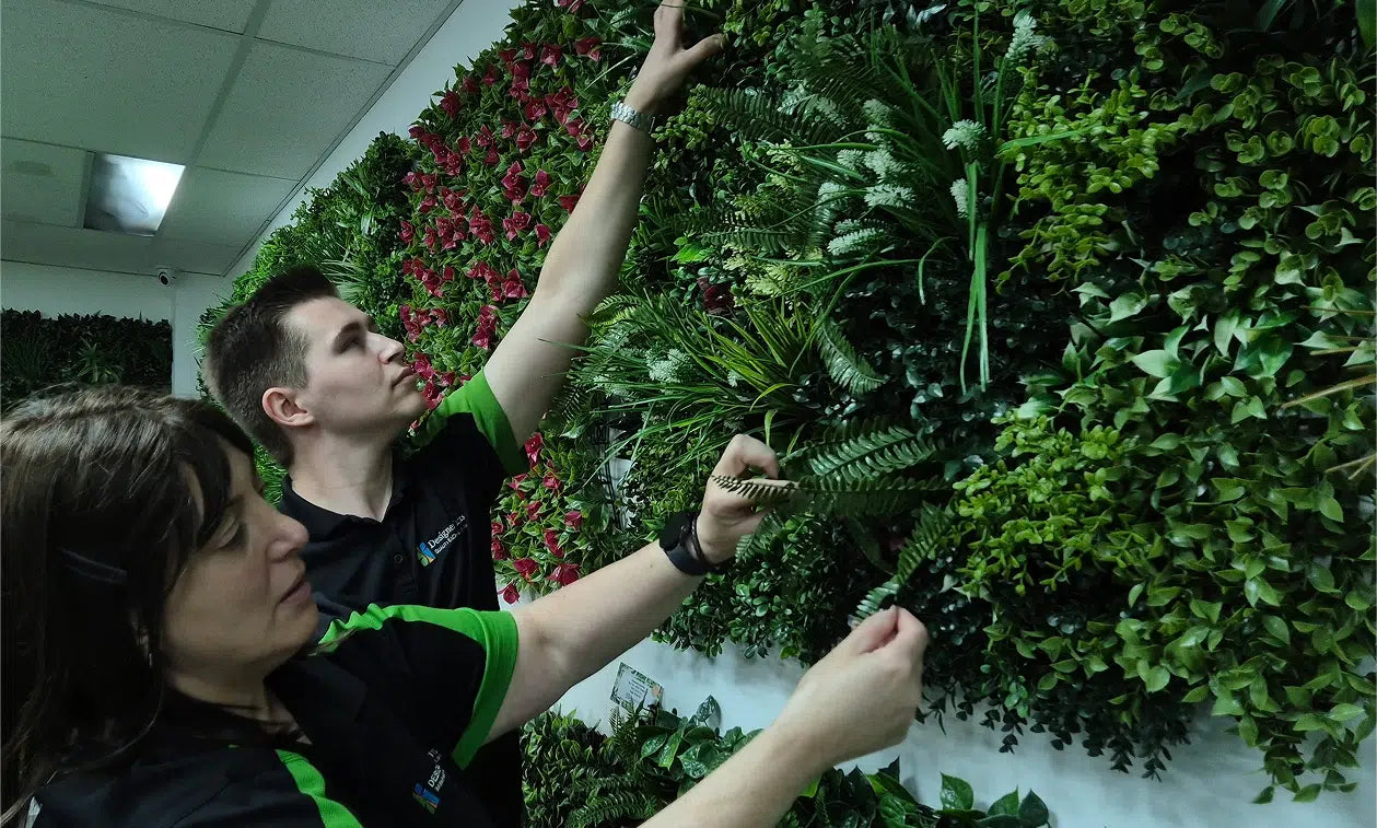 Connie and Will, plant stylists at Designer Plants