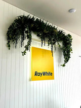 Mixed Green and White Tipped Ivy Bush 100cm