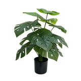 Artificial Potted Split Philodendron (Monstera) 50cm - Designer Plants