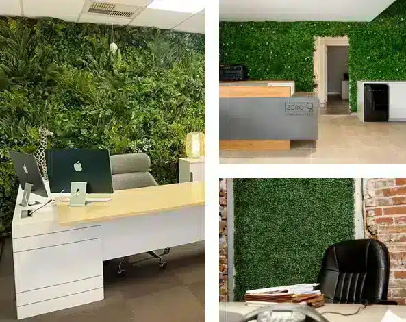 designer plant office transformation