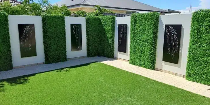 designer plants fence wall