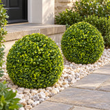 Medium Mixed Boxwood Topiary Ball UV Resistant 28cm - styled product image B