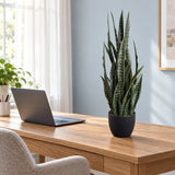 Artificial Snake Plant Sansevieria UV Resistant 60cm - styled product image C