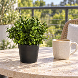 Small Potted Artificial Buxus Plant UV Resistant 20cm - styled product image A