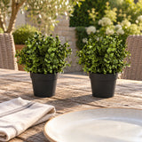 Small Potted Artificial Buxus Plant UV Resistant 20cm - styled product image B
