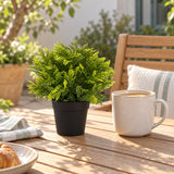 Small Potted Artificial Mimosa Fern UV Resistant 20cm - styled product image A