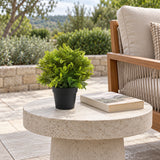 Small Potted Artificial Mimosa Fern UV Resistant 20cm - styled product image C