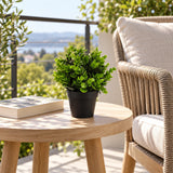 Small Potted Artificial Peperomia Plant UV Resistant 20cm - styled product image C